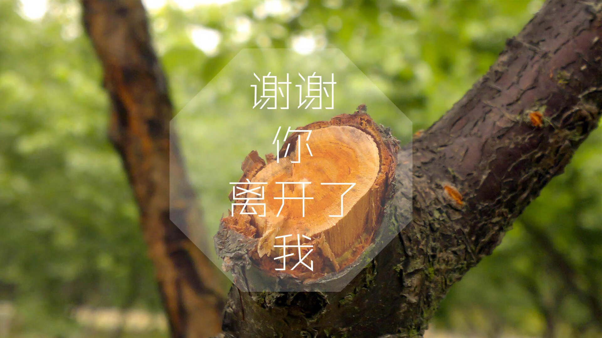 新秀合同机制是否应当改革，新秀合同可以交易吗