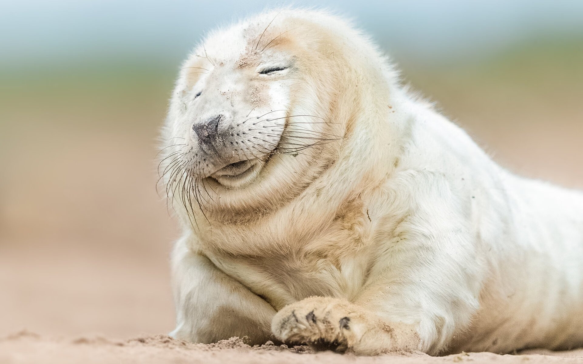 球场安全:未来球场与安保新思路,球场防护