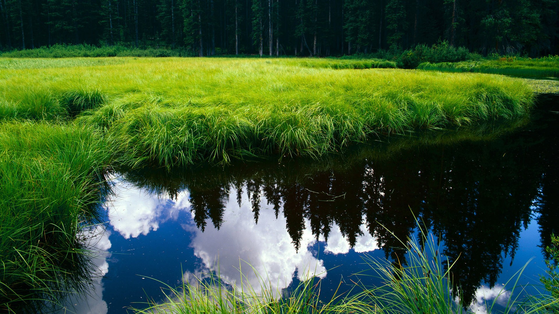 “电动冲浪：马鞍山赛场极速与环保并行，观众热血沸腾”