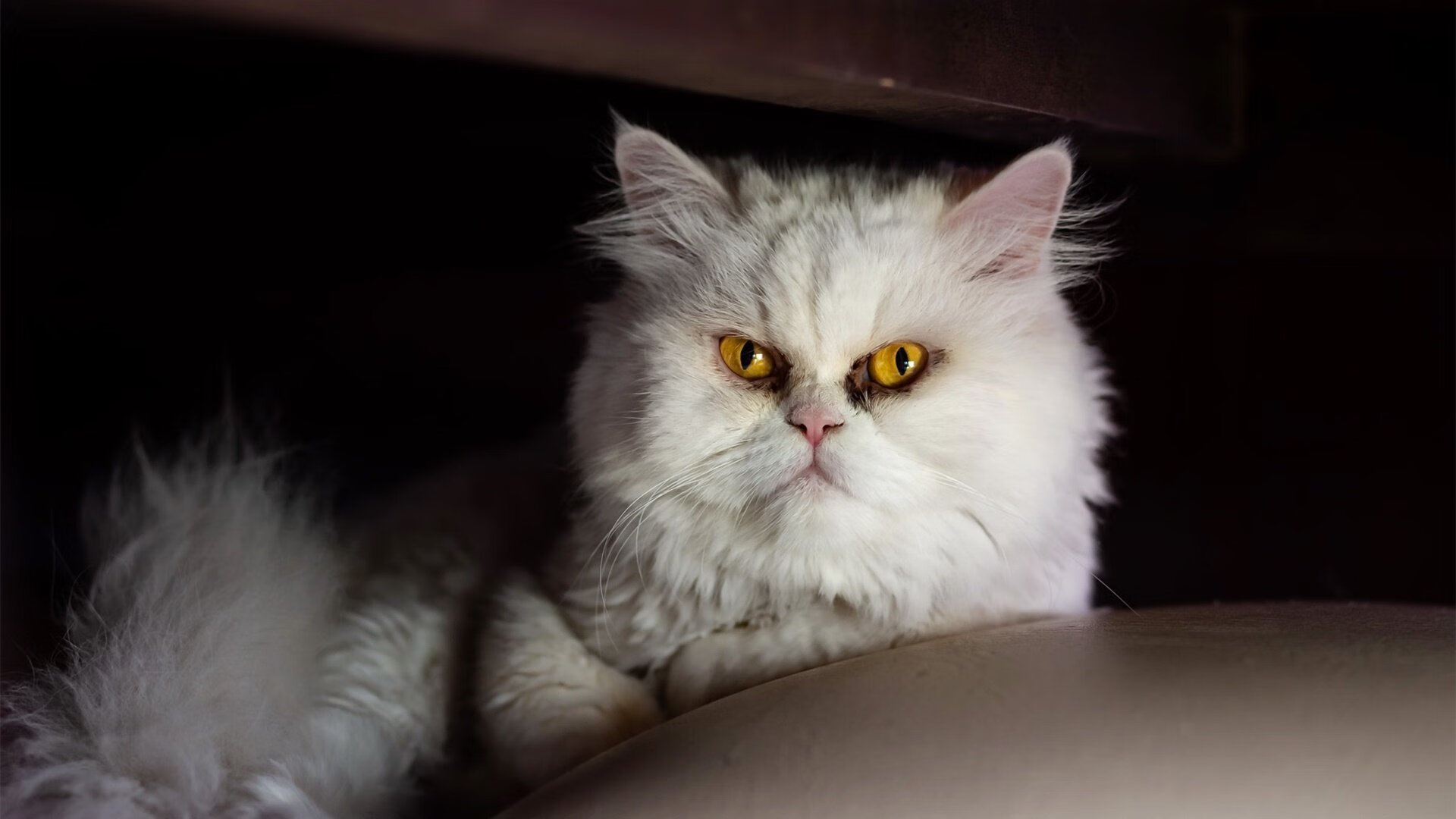 中国三人女篮体能储备充足，中国三人女篮水平