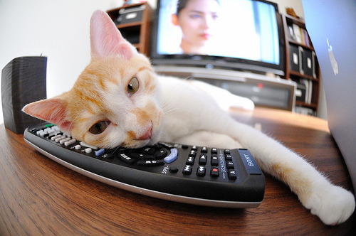 爱游戏APP-中国女篮积极引进先进训练方法，中国女篮训练内容