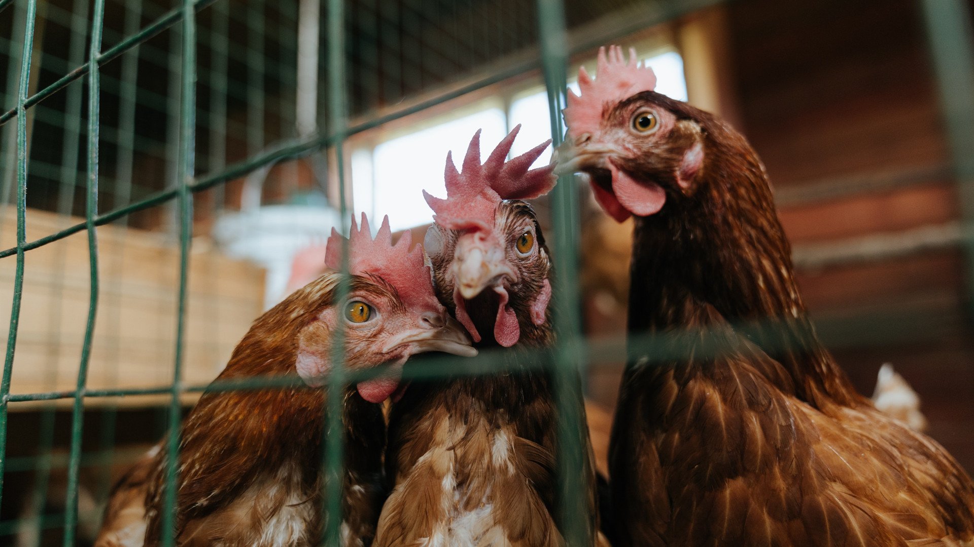 五大联赛争冠大战中战术板临场变化指数分析