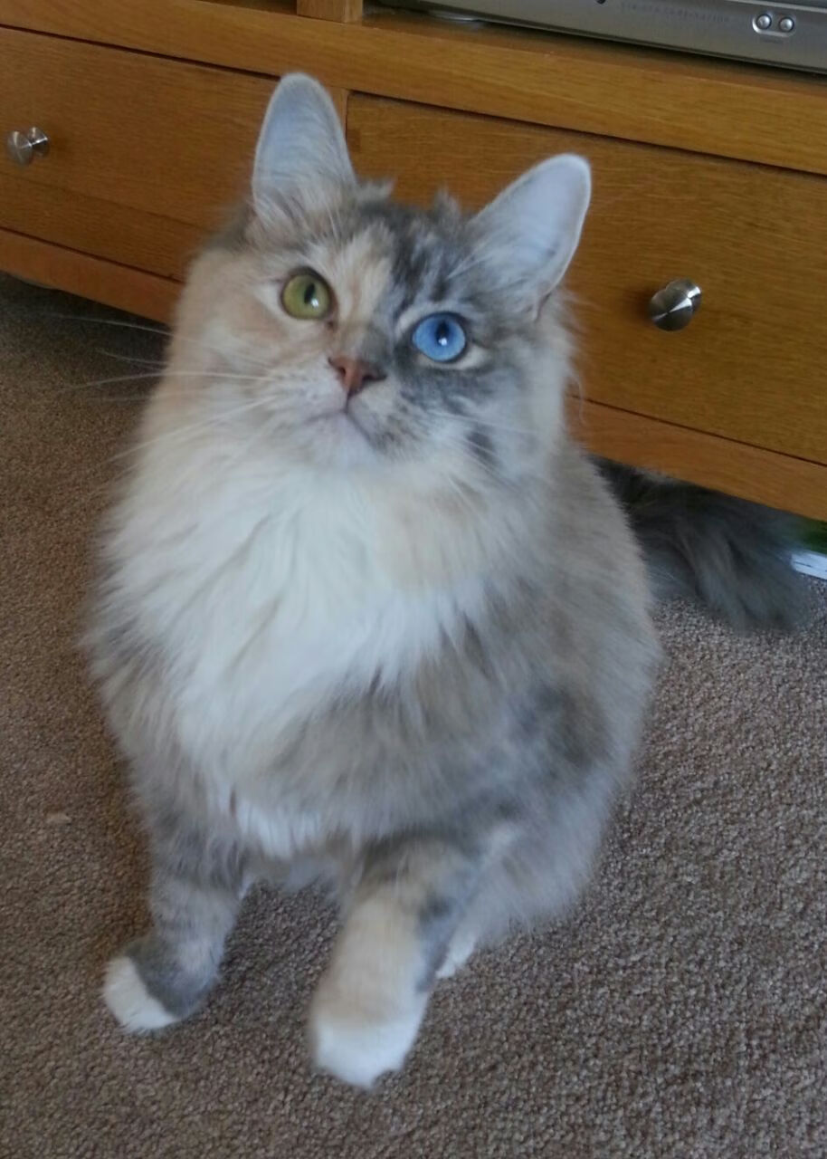 爱游戏中国官网-体育新闻中心承办体育新闻人才培养交流大会，全国体育新闻传播学术研讨会