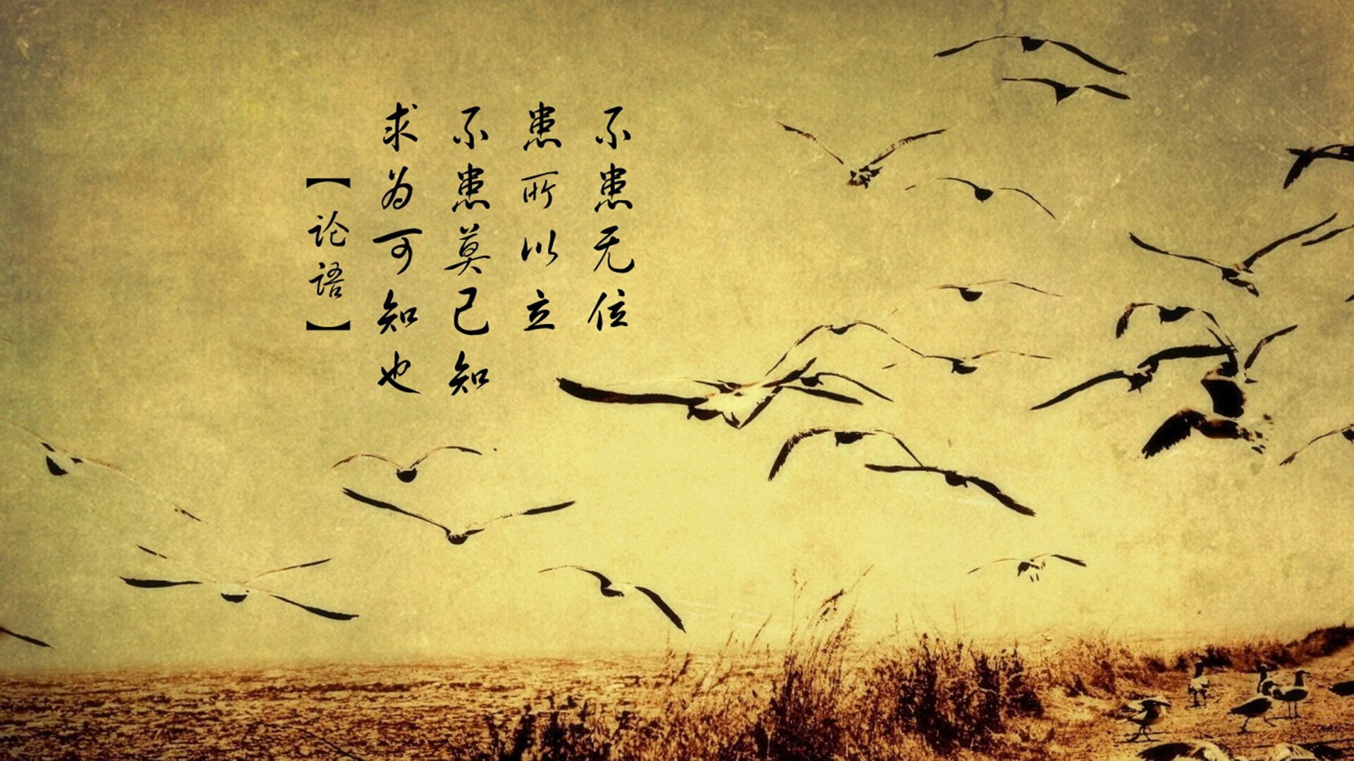 冠军光环背后的心理压力你了解吗，冠军光环属性