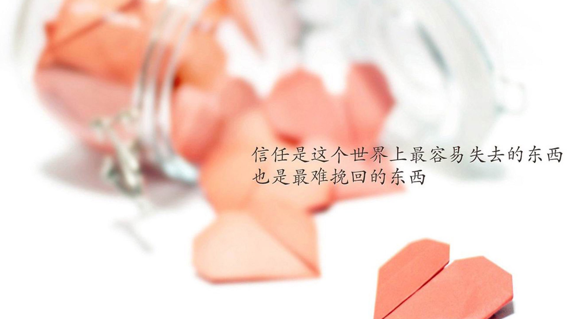 博洛尼亚通过轮换提升全场覆盖范围,博洛尼亚首发