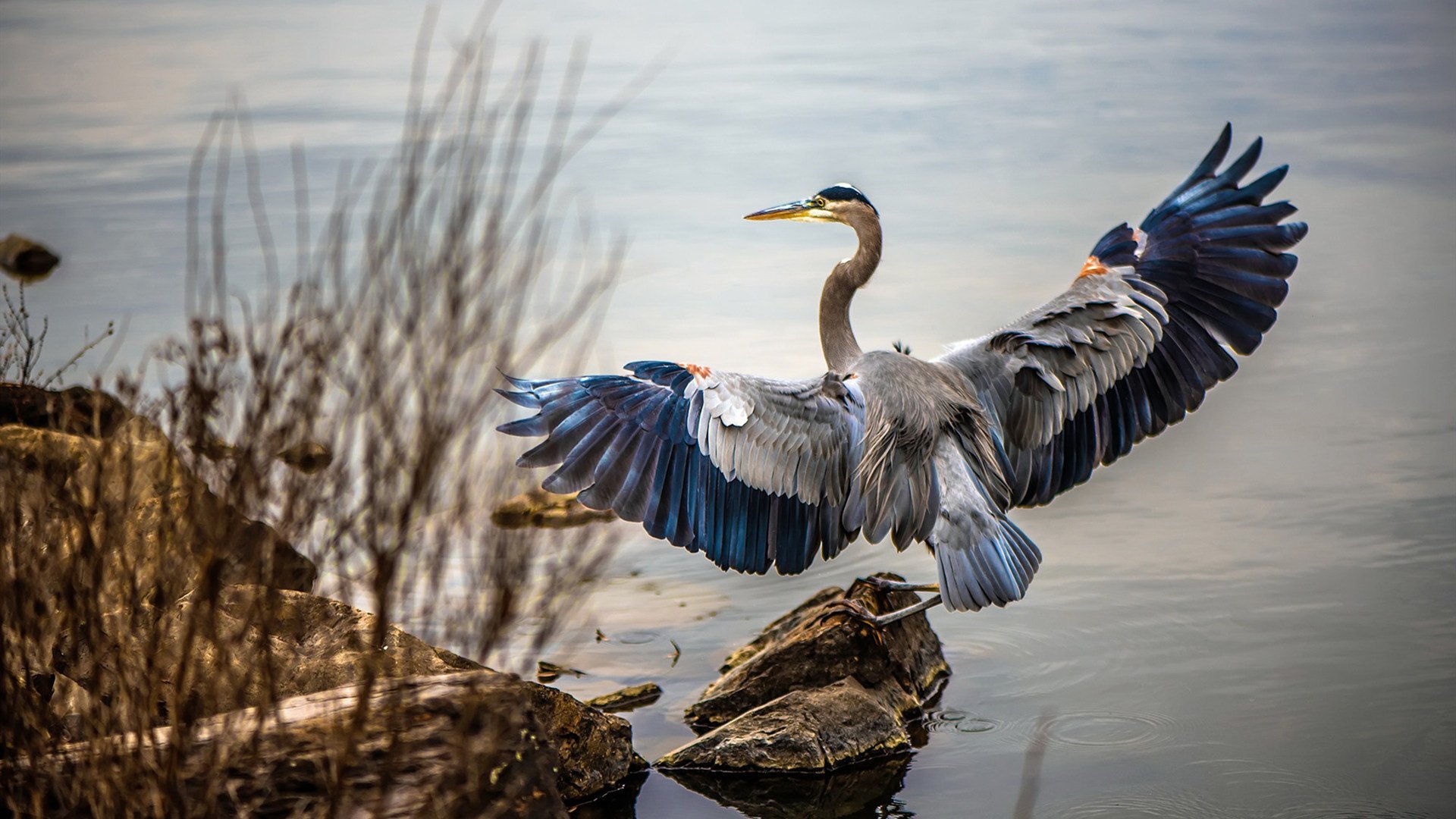 国家冬季项目训练中心配套设施升级完工，国家冬训基地